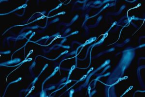 Sederhana, Cara Tingkatkan Kualitas Sperma Bagi Pria!